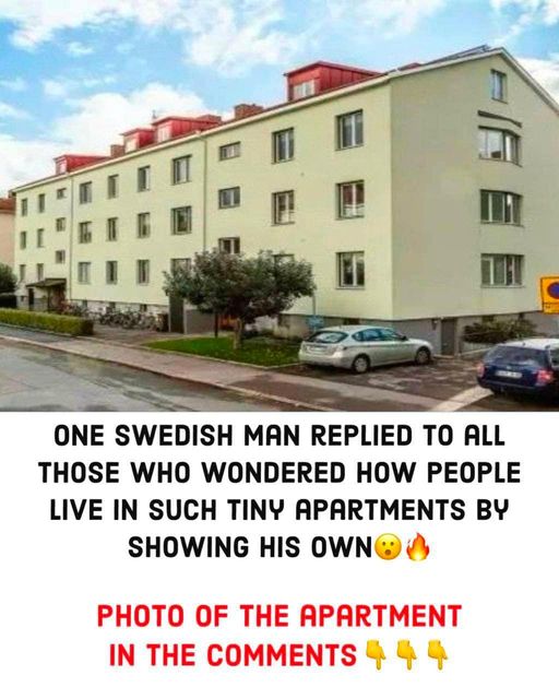 One Swedish man replied to all those who wondered how people live in ...